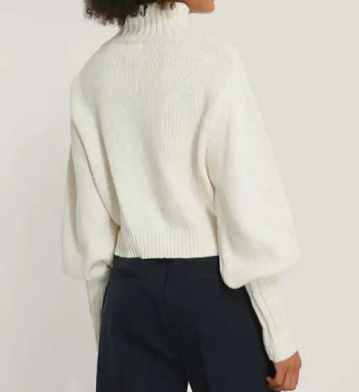 High Neck Knit Balloon Sleeve Sweater Le Papillon Style