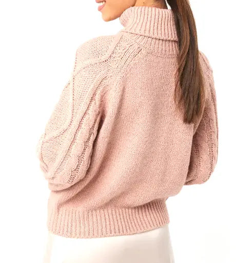 High Neck Knitted Sweater Le Papillon Style