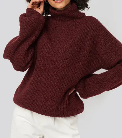 Knitted Turtle Neck Sweater Le Papillon Style